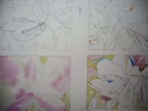 Here see all four with masking fluid (yellowy blobs) on right two. Started under painting on bottom right